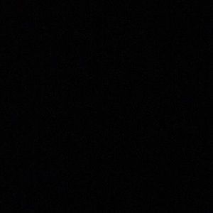 Meet your Posher, Savaj